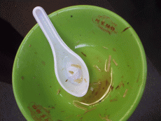 20090824-1251101892.gif